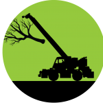 Tree Crane Work