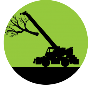 Tree Crane Work